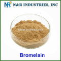 N &amp; R hochwertiger Ananas-Extrakt Bromelain-Pulver